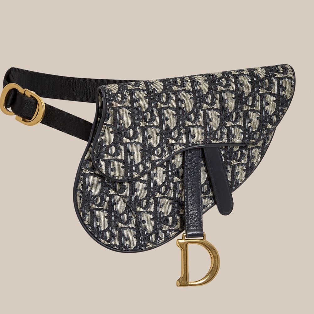 Dior Canvas / Leather Oblique Belt Bag Authentic